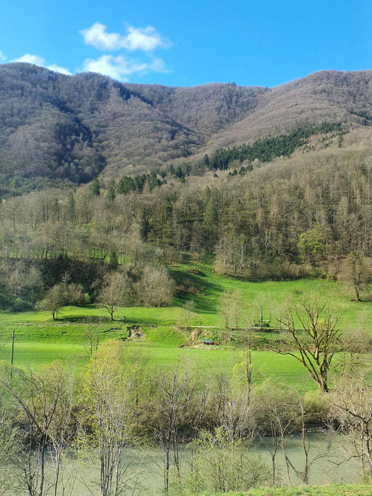 Ledince